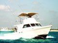 Voyage peche sportive mer profonde Voyage peche sportive mer profonde